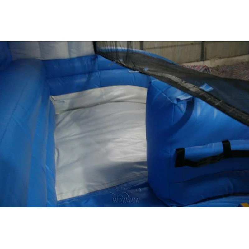 Dolphin themed Water Slide