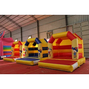 Inflatable joker bouncer
