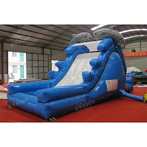 Inflatable water slide