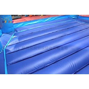 Frozen themed inflatable combo