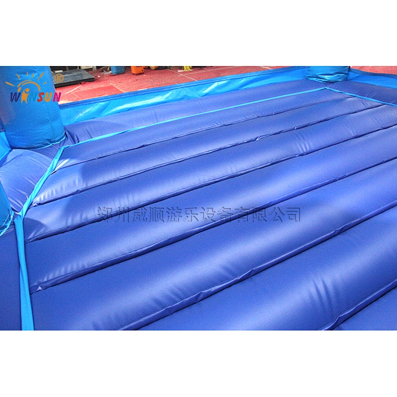 Frozen themed inflatable combo