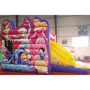 Inflatable Moonwalk with Slide
