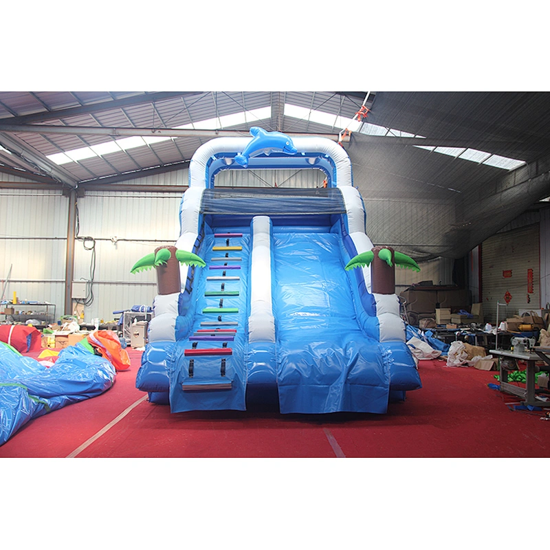 Dolphin Inflatable Water Slide