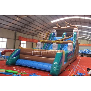 Inflatable Wild Rapids Slide