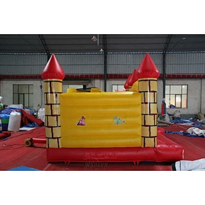 Inflatable Combo