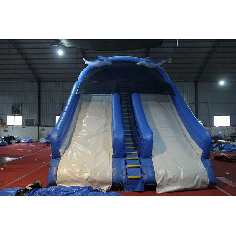 Dolphin themed Water Slide