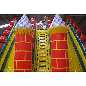 Giant Inflatable Slide with Bouncer