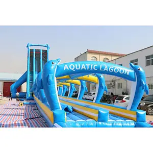 Blue Dolphin large water slide