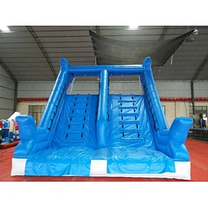 Inflatable Dolphin Water Slide
