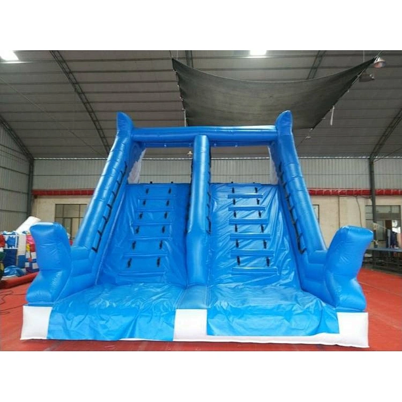 Inflatable Dolphin Water Slide