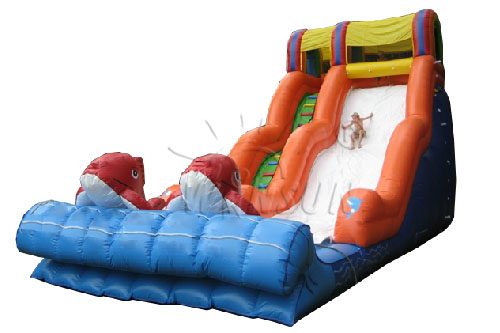 Inflatable water slide