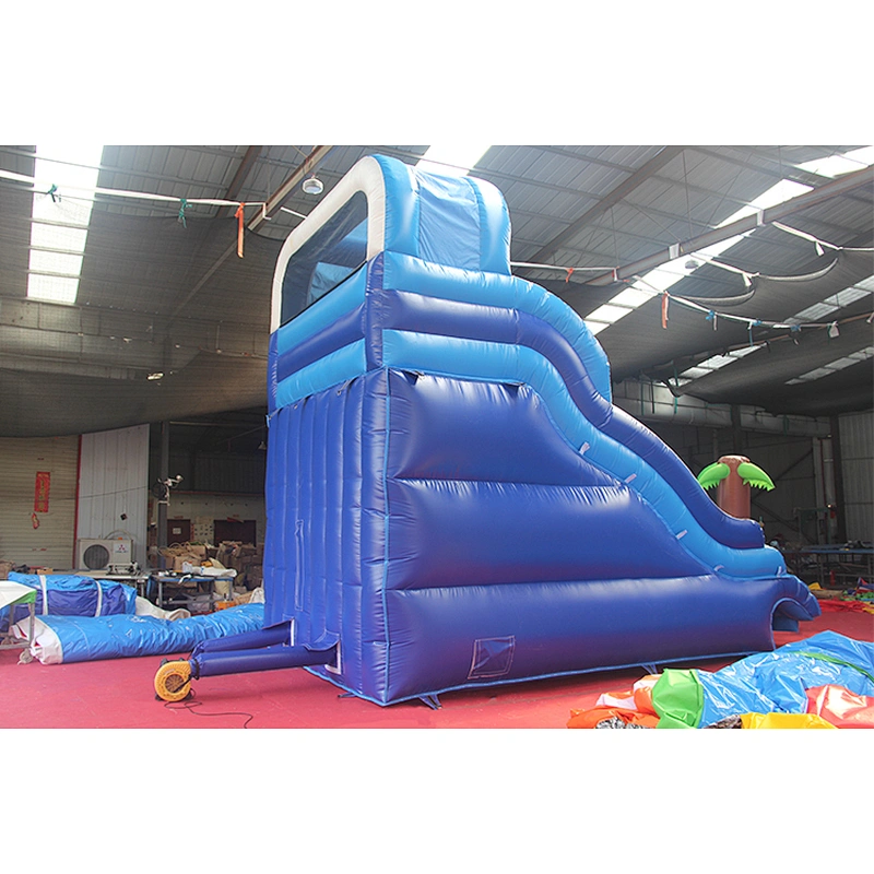 Dolphin Inflatable Water Slide