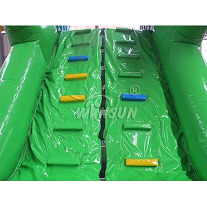 Lizard inflatable water slide
