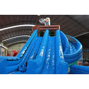 Pirate inflatable water slide