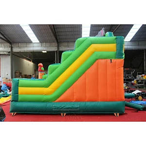 Animal World inflatable combo
