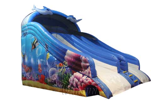 Dolphin themed Water Slide