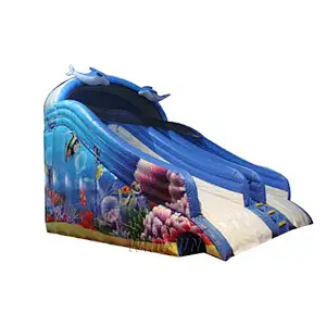 Dolphin themed Water Slide