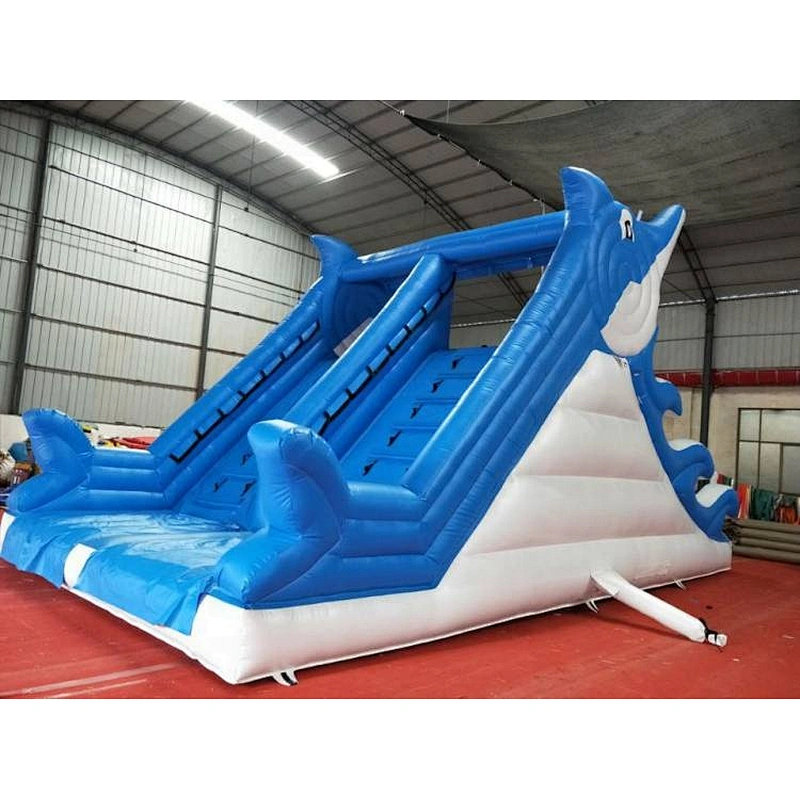 Inflatable Dolphin Water Slide