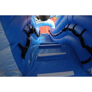 Ice world inflatable water slide