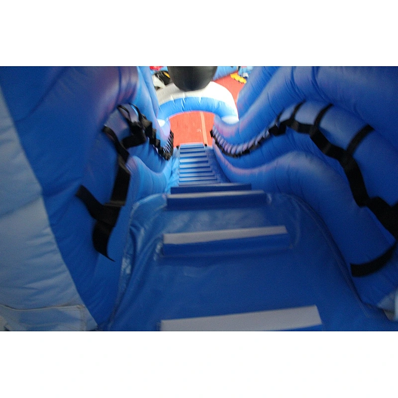 Ice world inflatable water slide