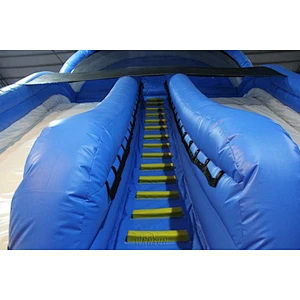 Dolphin themed Water Slide