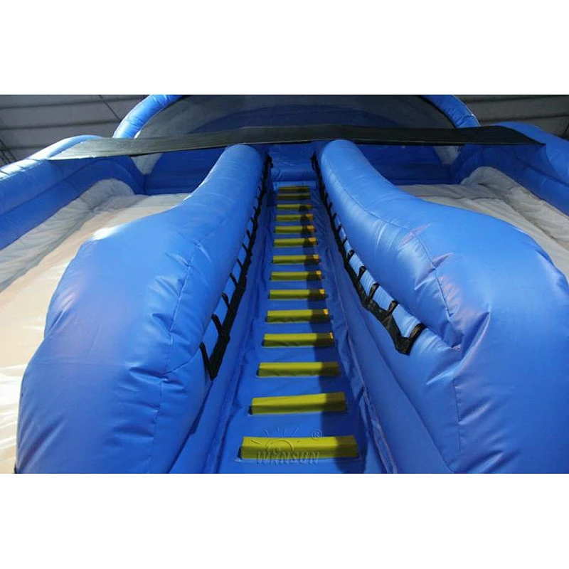 Dolphin themed Water Slide