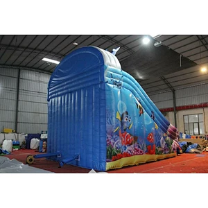 Dolphin themed Water Slide