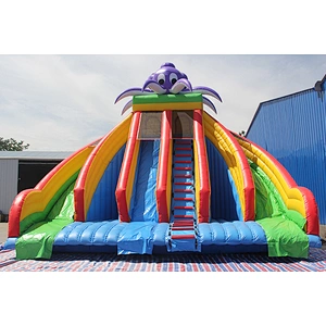Octopus Inflatable water slide