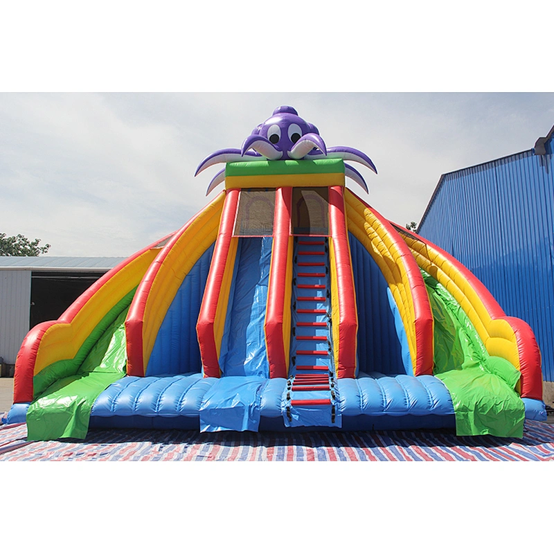 Octopus Inflatable water slide