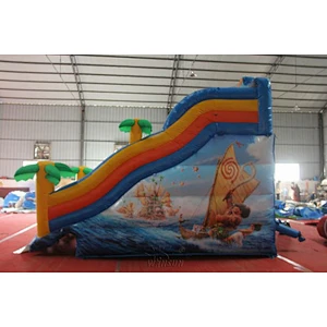 Moana Inflatable Water Slide