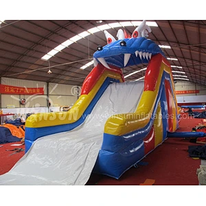 Inflatable water slide