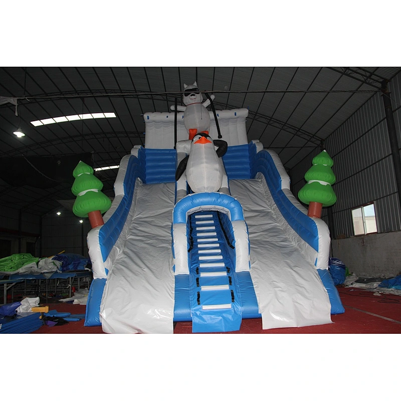 Ice world inflatable water slide