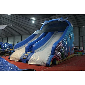 Dolphin themed Water Slide