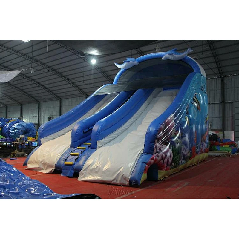 Dolphin themed Water Slide