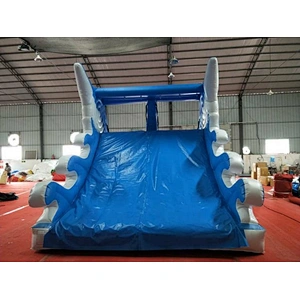 Inflatable Dolphin Water Slide