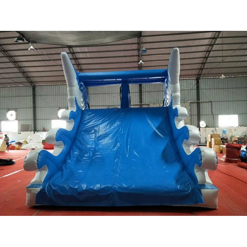 Inflatable Dolphin Water Slide