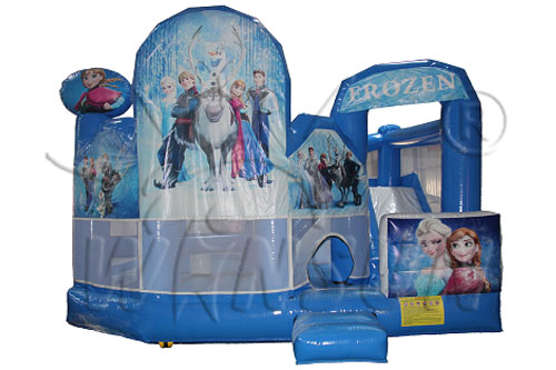 Inflatable Combo