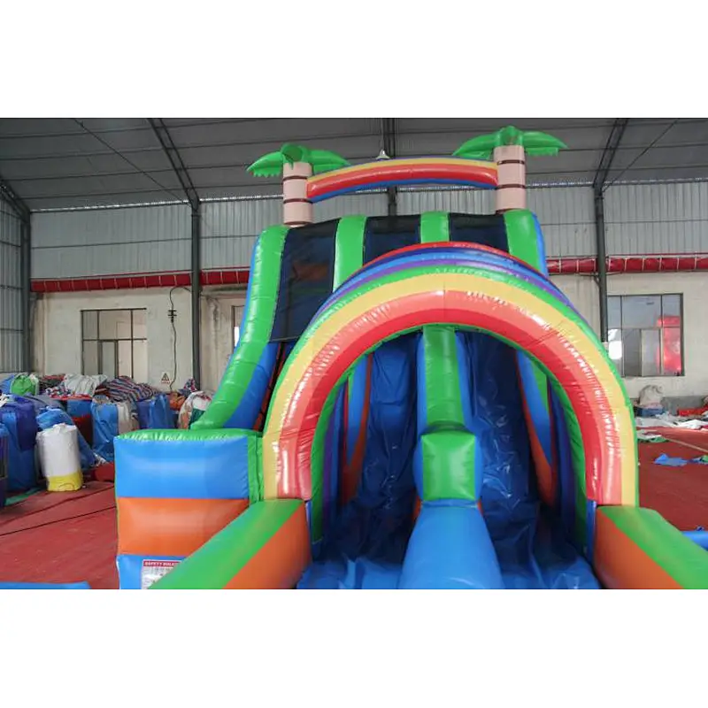 Dual Lane Water Slide with pool