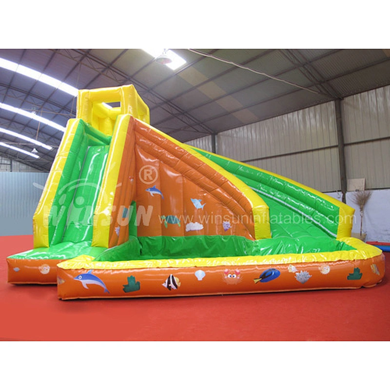 Inflatable Water Slide