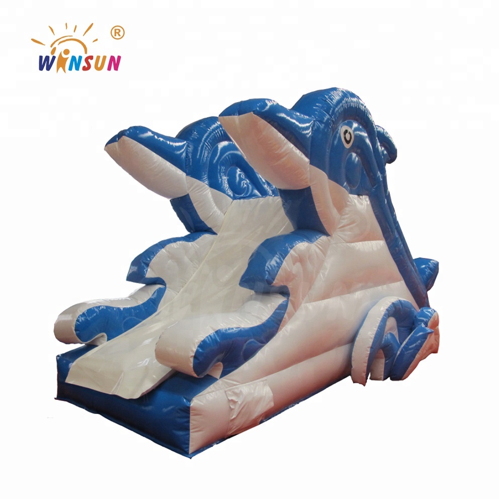 Inflatable water slide