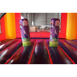 Inflatable Moonwalk Bouncer