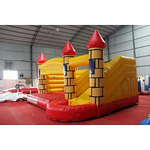 Inflatable Combo