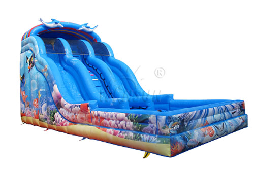 Ocean inflatable water slide