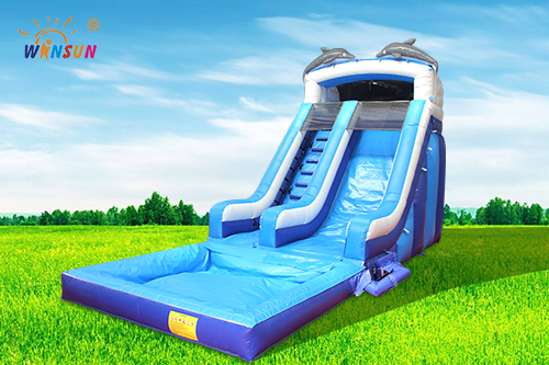 Dolphins Inflatable Water Slide