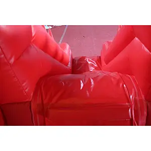 Inflatable Princess Jumping Castle