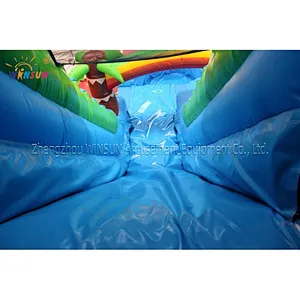 Inflatable water slide