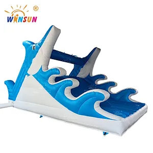 Inflatable Dolphin Water Slides