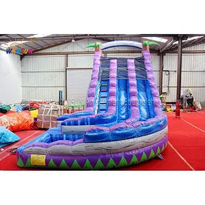 Dual lane wave water slide