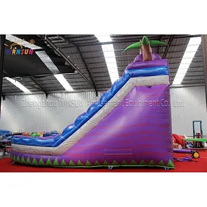 Dual lane wave water slide