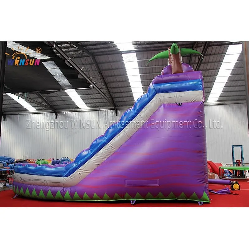 Dual lane wave water slide